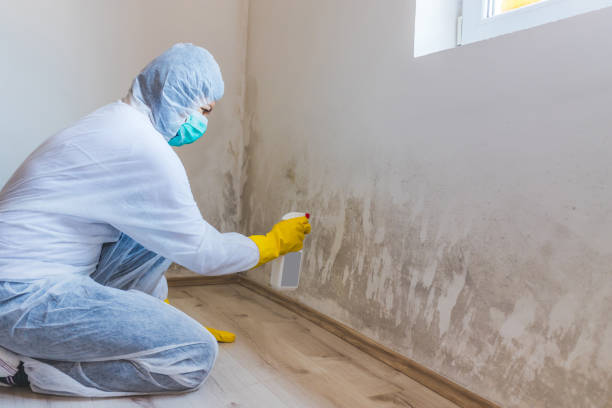 Bathroom Mold Removal assessment in Levering bathroom